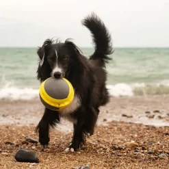 Great & Small Frubba Play Mega Ball Dog Toy Outlet