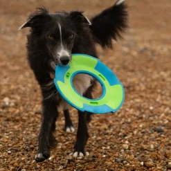 Great & Small Frubba Play Flyer Dog Toy Best