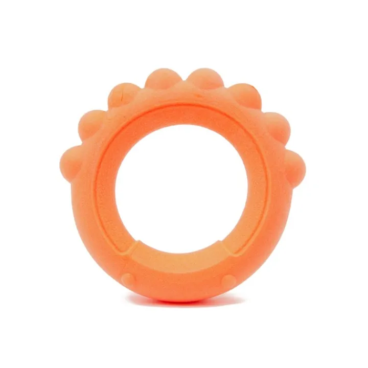 Great & Small Frubba Scent Octo Ring Dog Toy Best