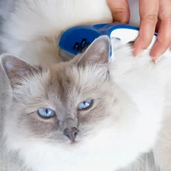 Great & Small FurFixer Deshedding Brush for Long Hair Clearance