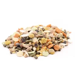 Great & Small Gerbil Food Fashion