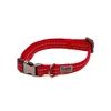 Great & Small Glow Dog Collar Red Sale