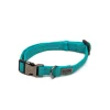 Great & Small Glow Dog Collar Turquoise Sale