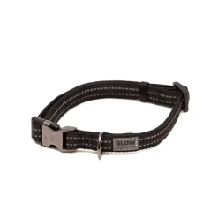 Great & Small Glow Dog Collar Black Sale