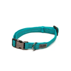Great & Small Glow Dog Collar Turquoise Sale