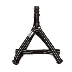 Great & Small Glow Dog Harness Black Outlet