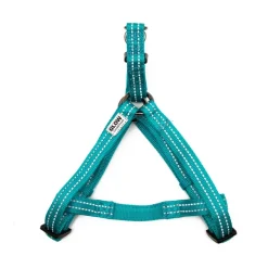 Great & Small Glow Dog Harness Turquoise Outlet