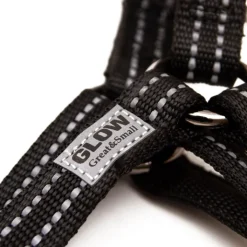 Great & Small Glow Dog Harness Black Outlet