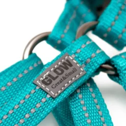 Great & Small Glow Dog Harness Turquoise Outlet