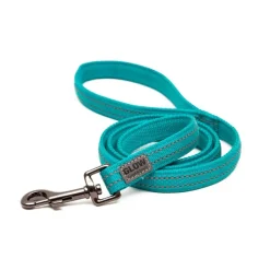 Great & Small Glow Dog Lead Turquoise New