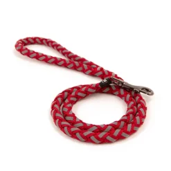 Great & Small Glow Dog Lead Plait Red Outlet