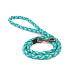 Great & Small Glow Dog Lead Plait Turquoise Best