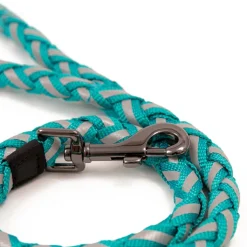 Great & Small Glow Dog Lead Plait Turquoise Best