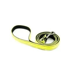 Great & Small Glow Hi-Vis Dog Lead Yellow New