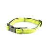 Great & Small Glow Hi-Vis Dog Collar Yellow Sale