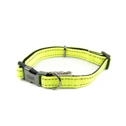 Great & Small Glow Hi-Vis Dog Collar Yellow Sale