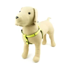 Great & Small Glow Hi-Vis Dog Harness Yellow Online
