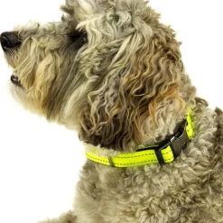 Great & Small Glow Hi-Vis Dog Collar Yellow Sale