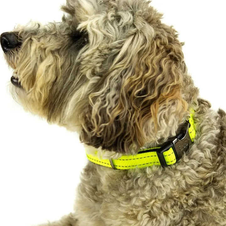 Great & Small Glow Hi-Vis Dog Collar Yellow Sale