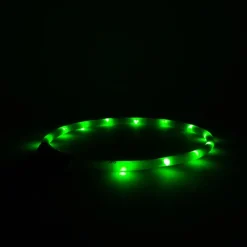 Great & Small Glow LED Rechargeable Dog Collar Green Fashion