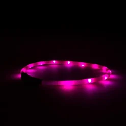 Great & Small Glow LED Rechargeable Dog Collar Pink Best