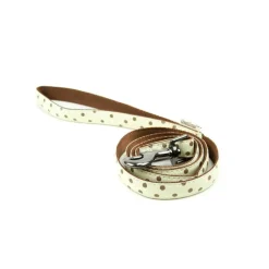 Great & Small Glow Polkadot Dog Lead Best
