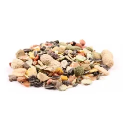 Great & Small Gourmet Hamster Feast With Fruit & Veg Best