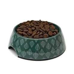 Great & Small Green Leaf Melamine Pet Bowl Online