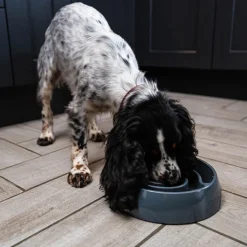 Great & Small Grey Slow Down Swirl Pet Bowl Online