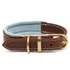 Great & Small Hawkhurst Leather Dog Collar Padded Blue Best