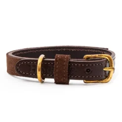 Great & Small Hawkhurst Leather & Suede Dog Collar Fashion