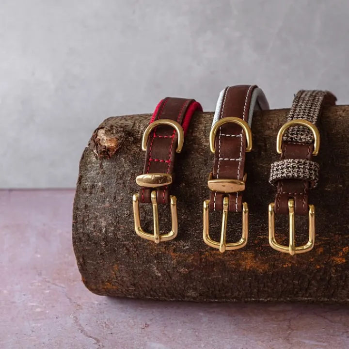 Great & Small Hawkhurst Leather Dog Collar Padded Blue Best