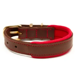Great & Small Hawkhurst Leather Dog Collar Padded Red Fashion