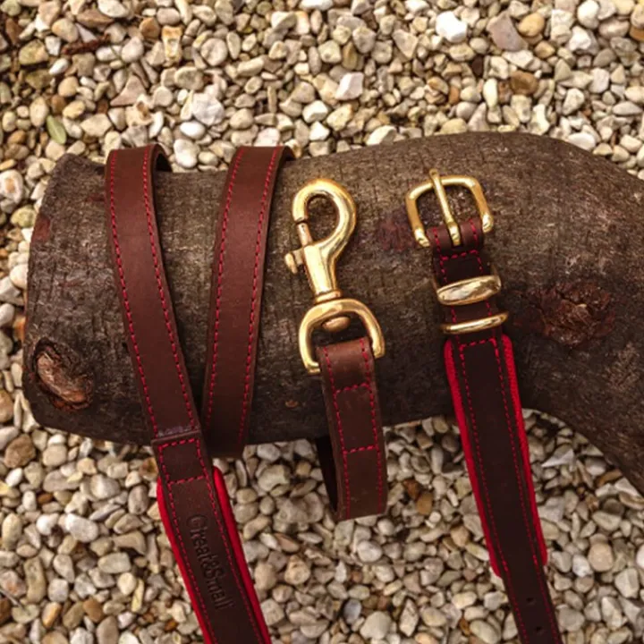 Great & Small Hawkhurst Leather Dog Lead Padded Red Discount