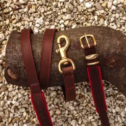 Great & Small Hawkhurst Leather Dog Collar Padded Red Fashion