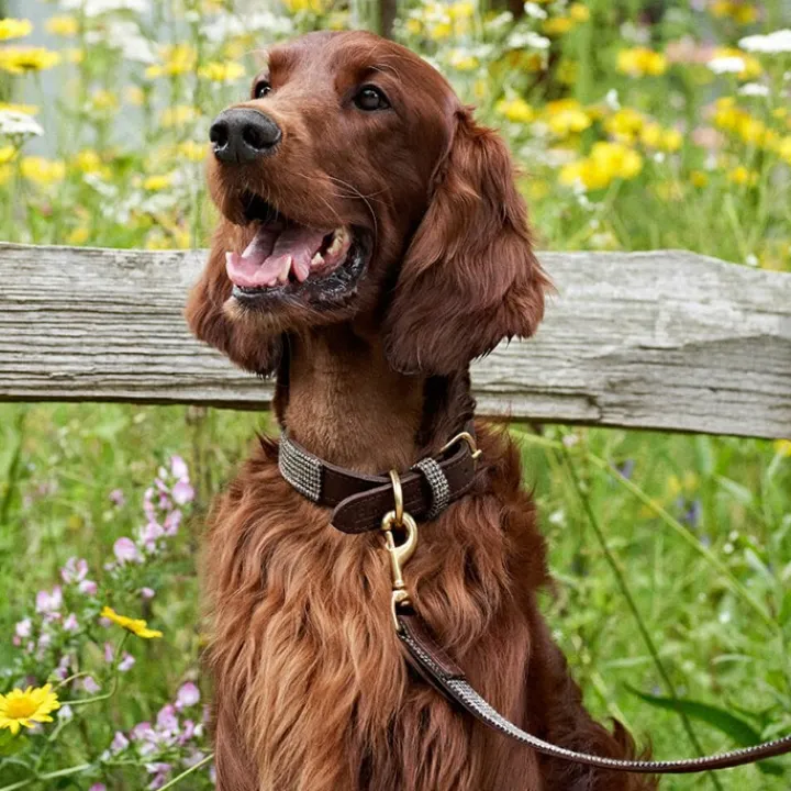 Great & Small Hawkhurst Leather Dog Lead Tweed Clearance