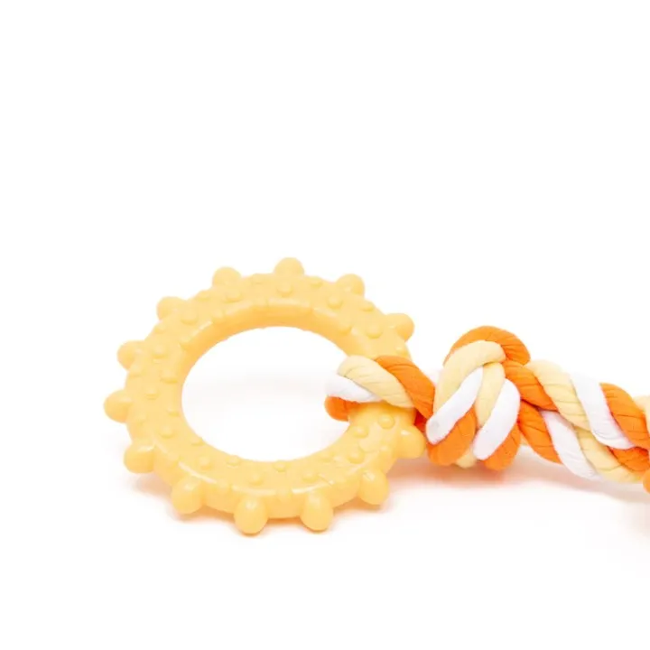 Great & Small Little&Lively TPR Sun Ring & Jersey Rope Dog Toy Online