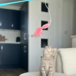 Great & Small Little&Lively Easy Play Weighted Dangler with Lobster & Feather Cat Toy Discount
