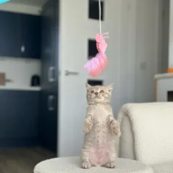 Great & Small Little&Lively Easy Play Weighted Dangler with Lobster & Feather Cat Toy Discount