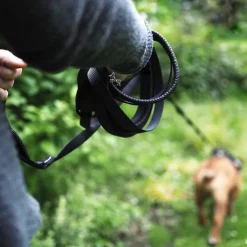 Great & Small Active Great & Small 10m Active Longline Dog Lead New