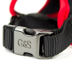 Great & Small Mesh Dog Harness Fashion