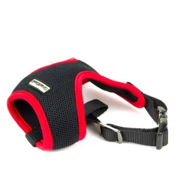 Great & Small Mesh Dog Harness Fashion
