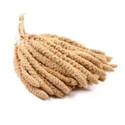 Great & Small Millet 5 Sprays Best