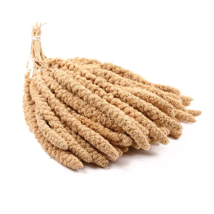 Great & Small Millet 5 Sprays Best