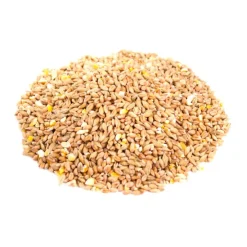 Great & Small Mixed Corn Bird Feed Online