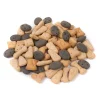Great & Small Natural Dog Biscuit Selection Outlet