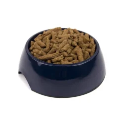 Great & Small Navy Melamine Pet Dish Sale