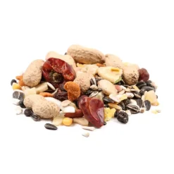 Great & Small Parrot Feast With Fruit Best
