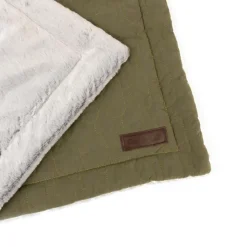 Great & Small Paws & Snores Green Eco Pet Blanket Bed Hot