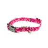 Great & Small Penrose Blossom Dog Collar Pink Hot
